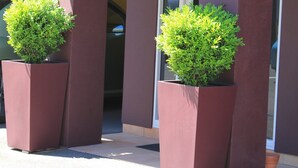 A building entrance with a sign reading "Conference Room" and two planters with green shrubs.