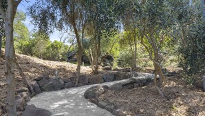 A pathway surrounded by rocks and trees in a natural setting. - Seafarers Getaway (Apollo Bay)