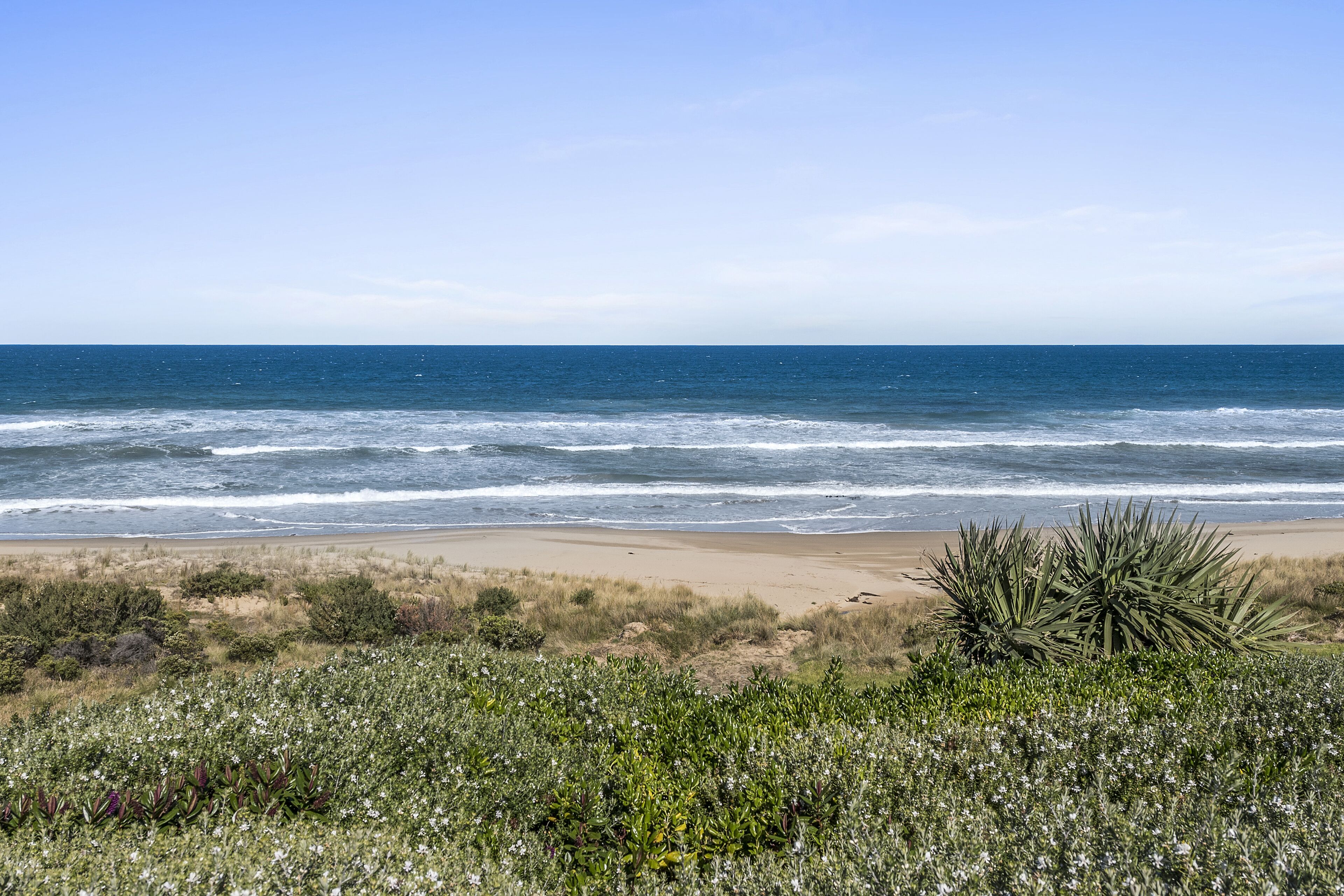 A beach with waves, sand, and green vegetation.