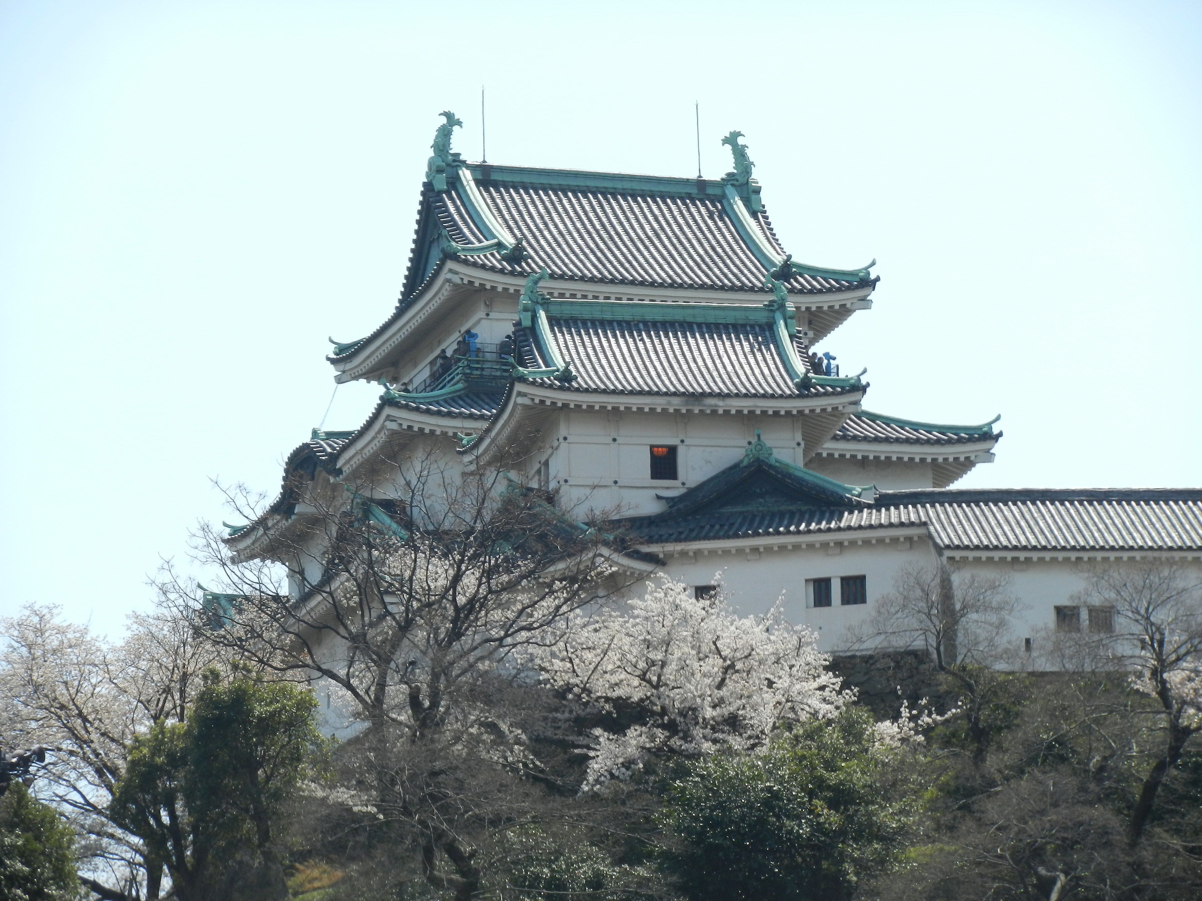 Un château japonais traditionnel, doté de plusieurs niveaux et de toits verts, entouré d’arbres et de fleurs en pleine floraison.