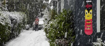 Big Tree Lodge Methven - Hostel