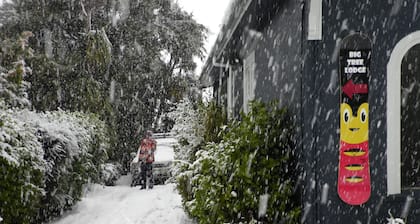 Big Tree Lodge Methven - Hostel