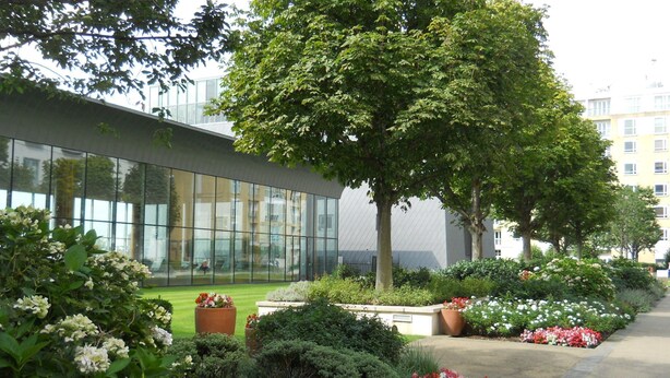 Un jardín ajardinado con diversas plantas y flores, un camino y un edificio moderno con grandes ventanales al fondo.