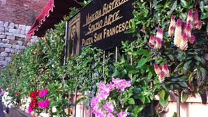 Vineria Bistro -ravintolan kyltti Piazza San Francescon aukiolla, vehreän kasvillisuuden ja kukkivien kasvien ympäröimänä.