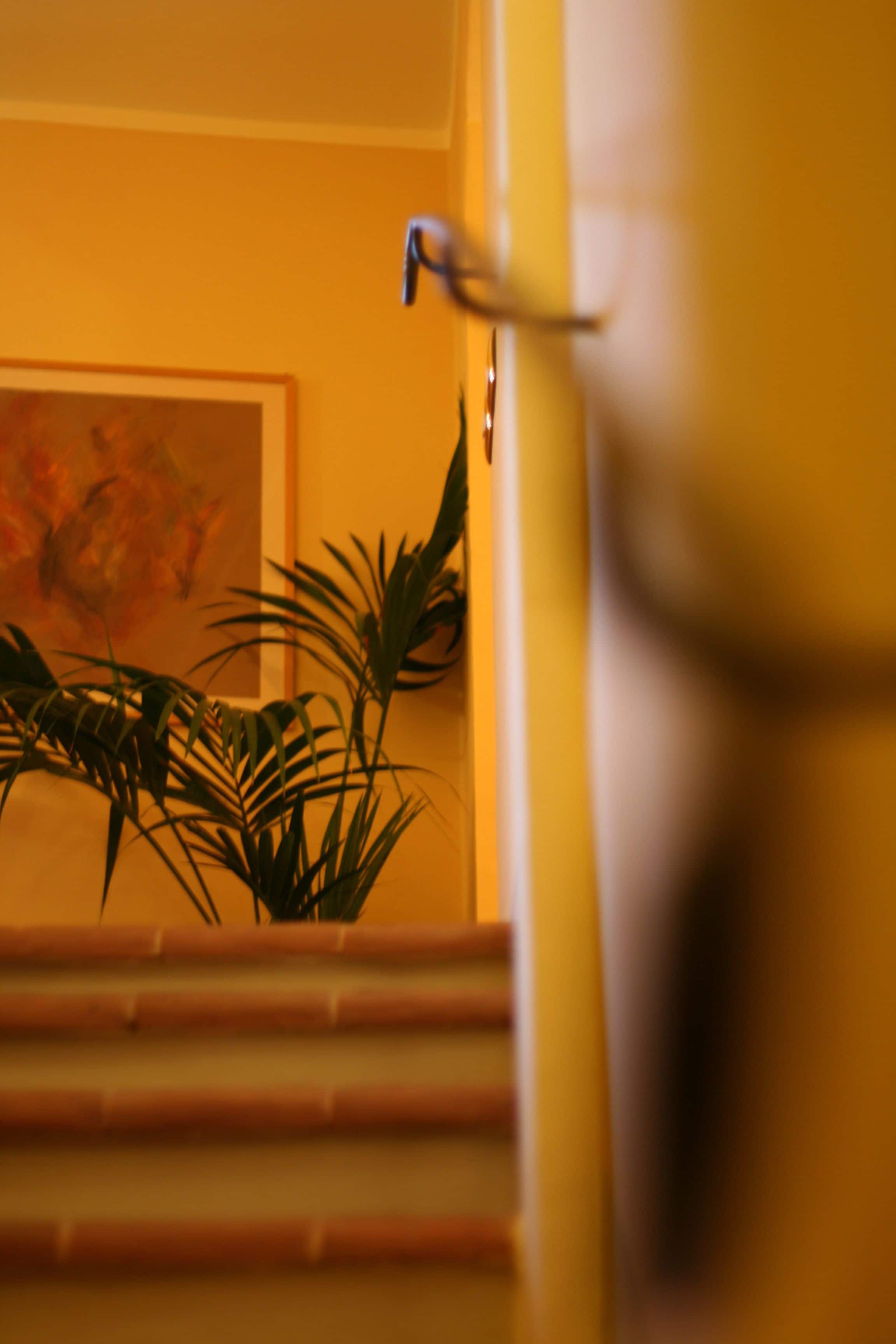 Foto - La Locanda Di San Francesco