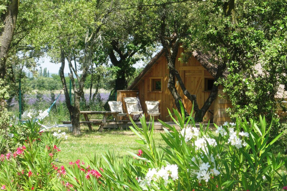 Family Cabin, Multiple Beds | Premium bedding, WiFi (free)
