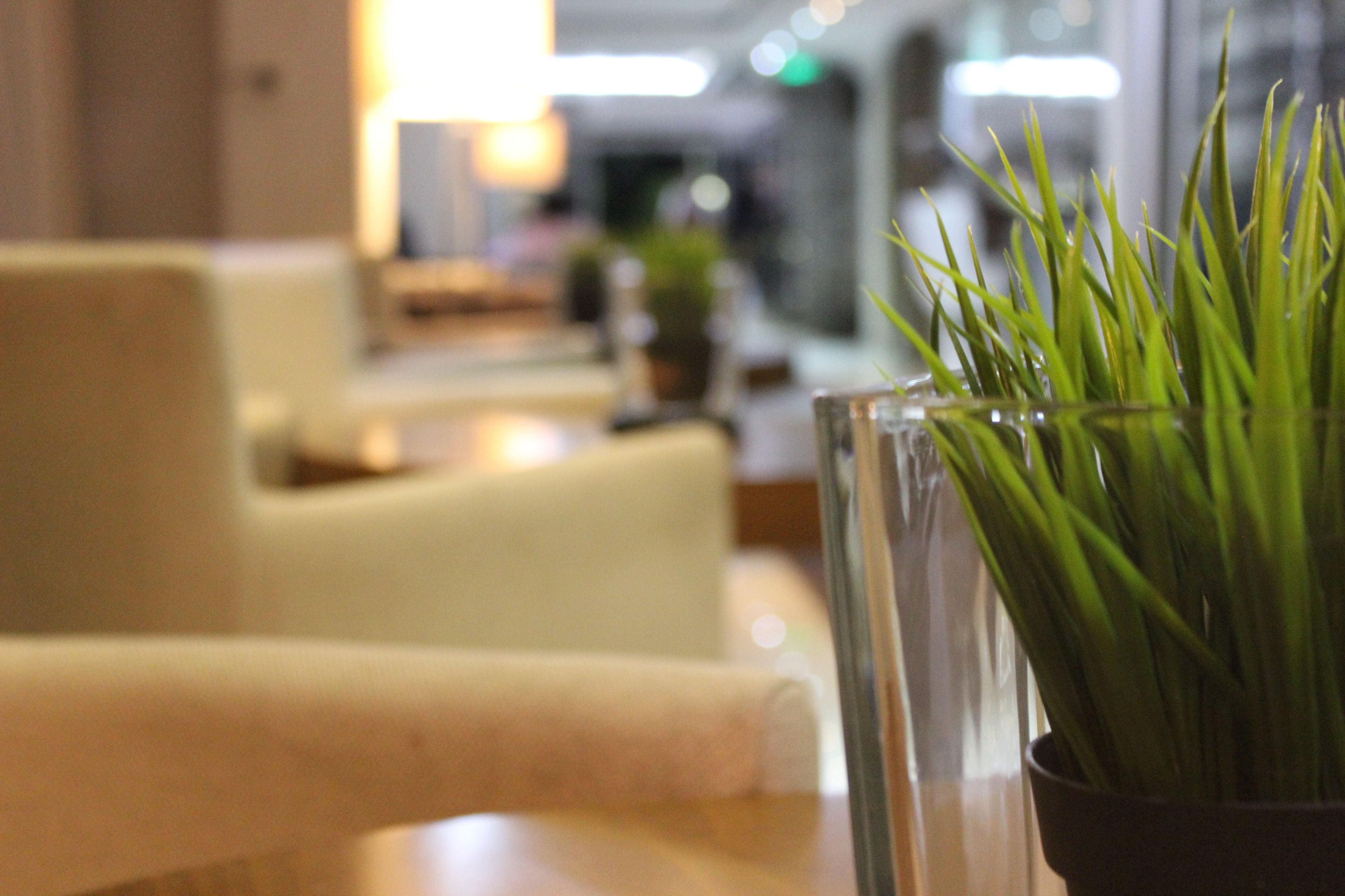 Un florero de vidrio con plantas verdes sobre una mesa en una habitación con fondo desenfocado.