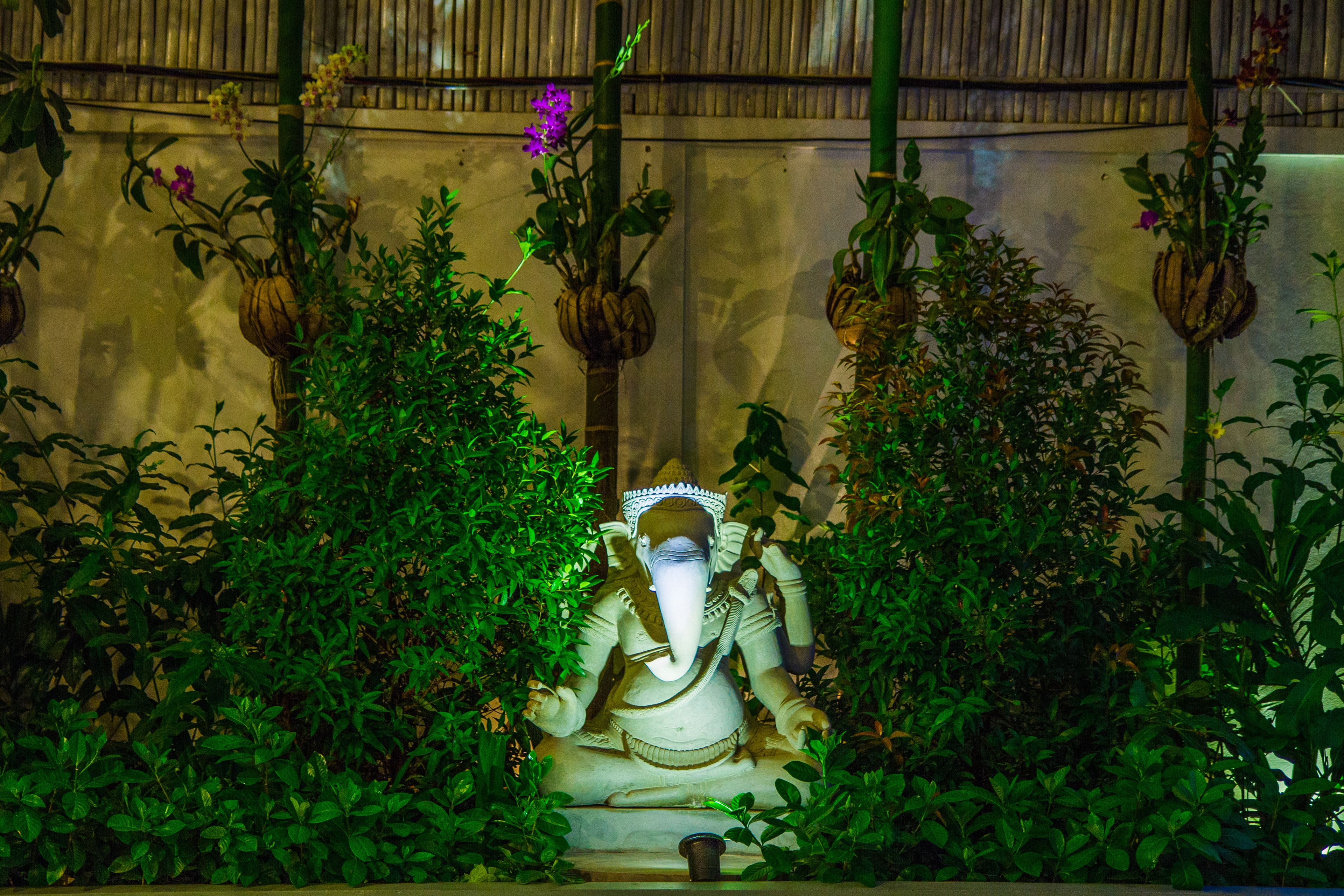 Fachada del alojamiento - Noche