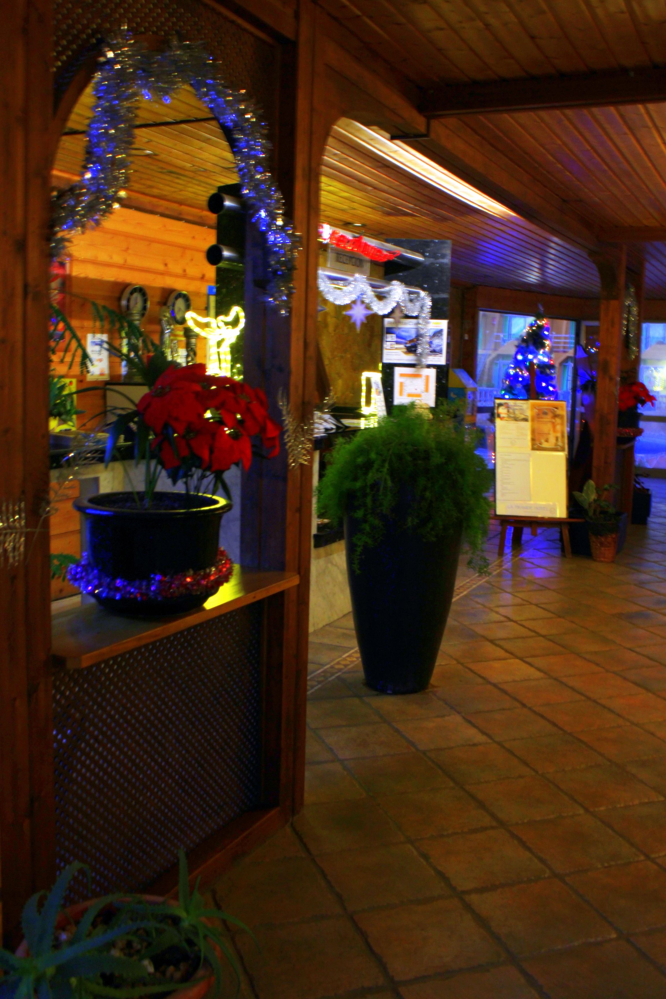 A warmly lit indoor space with a wooden ceiling and tiled floor, featuring a large potted plant and a Christmas tree.