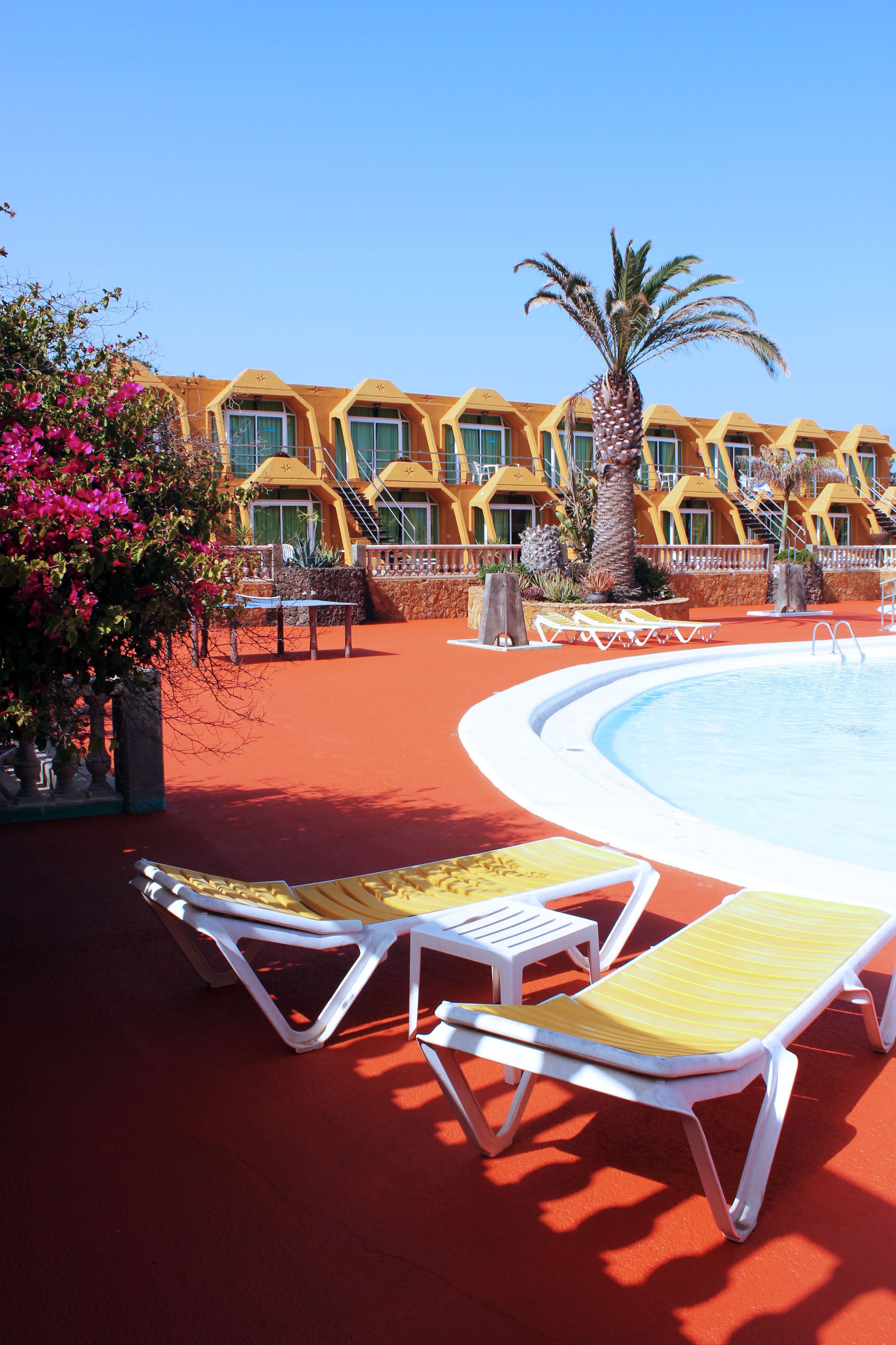 A pool area with sun loungers and a palm tree.