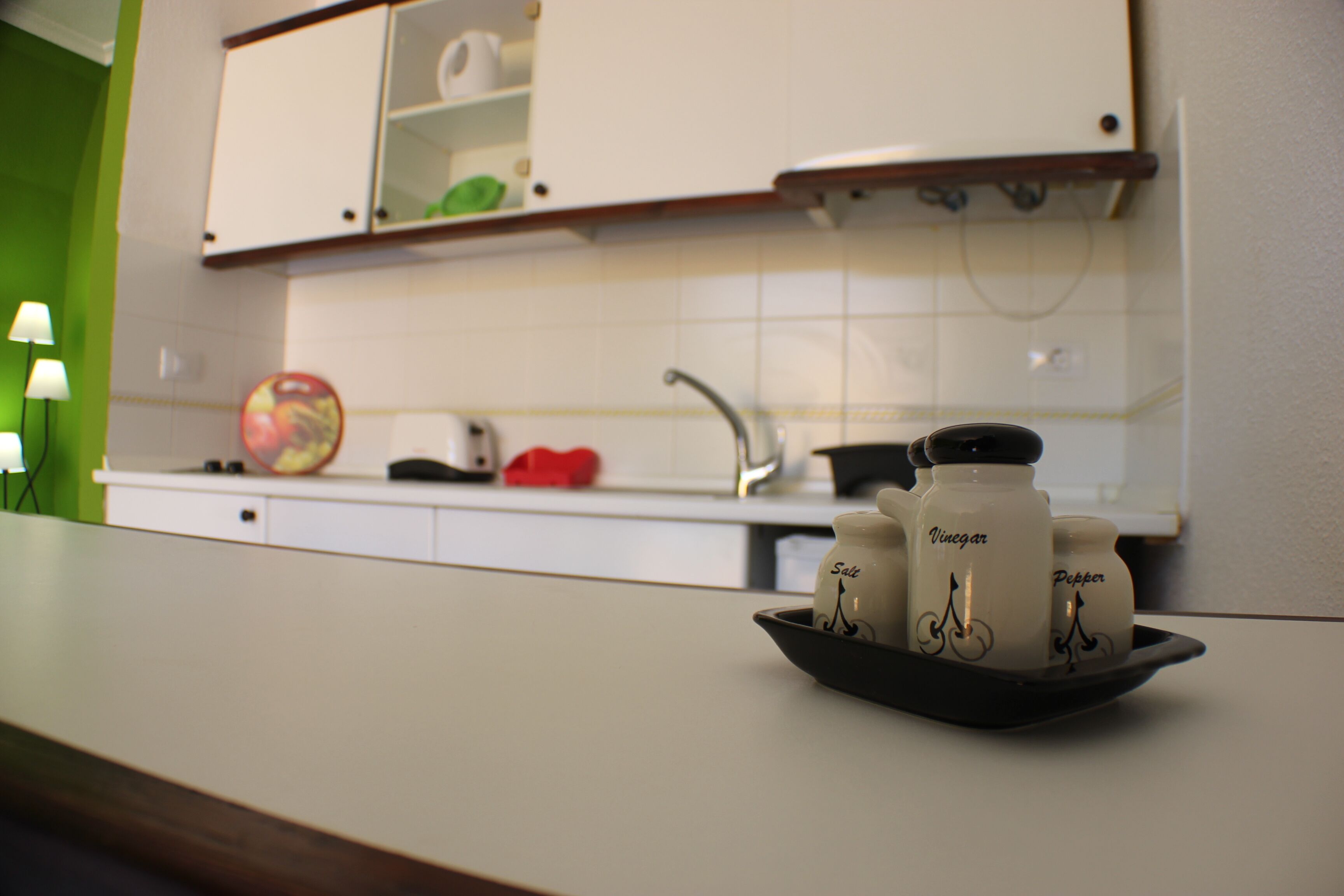 Una encimera de cocina con una bandeja que contiene saleros, posavasos de vinagre y molinillos de pimienta.