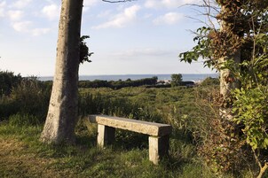 Vista desde la propiedad