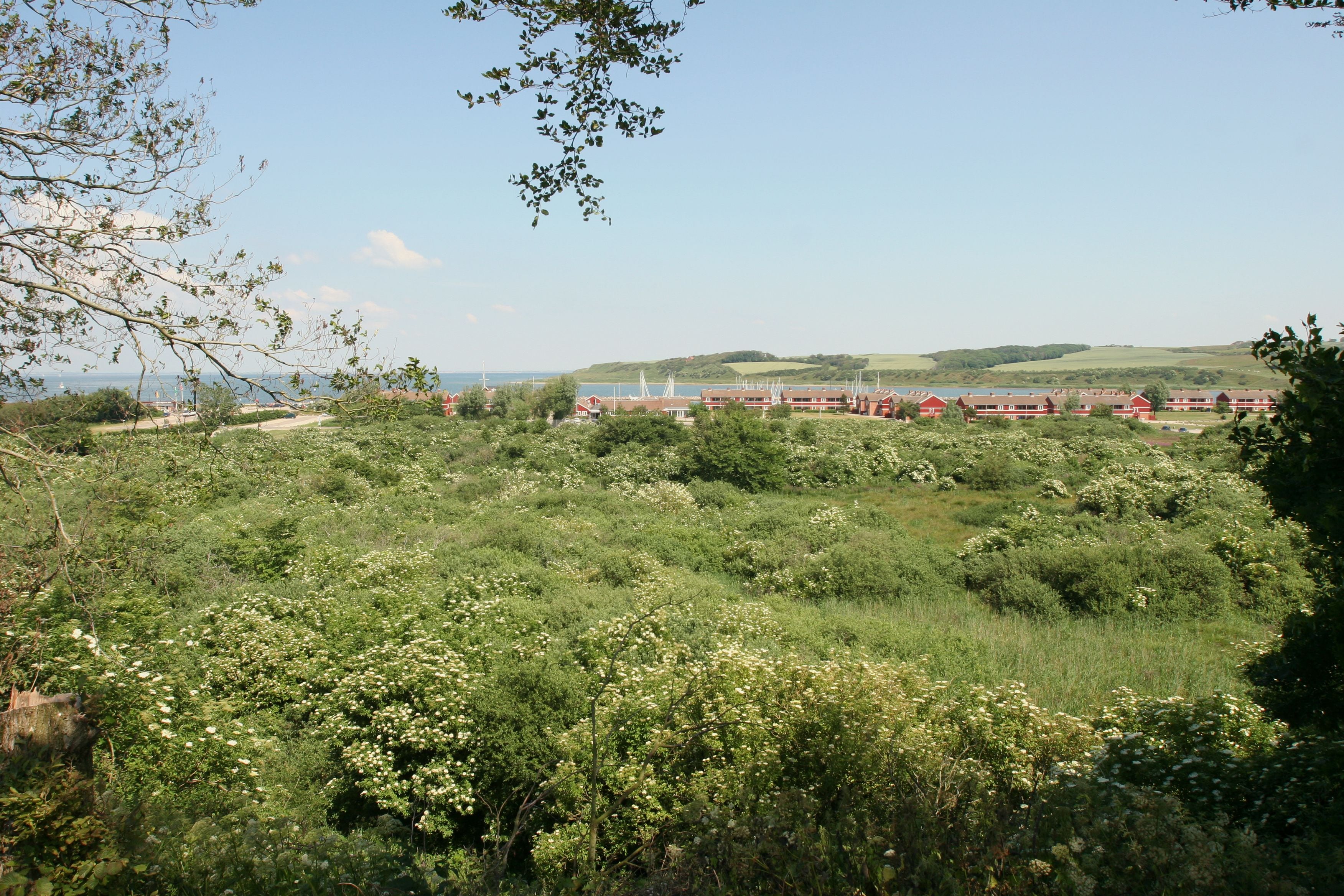 A hotel with multiple red buildings, surrounded by lush greenery and a view of a body of water and hills in the distance.