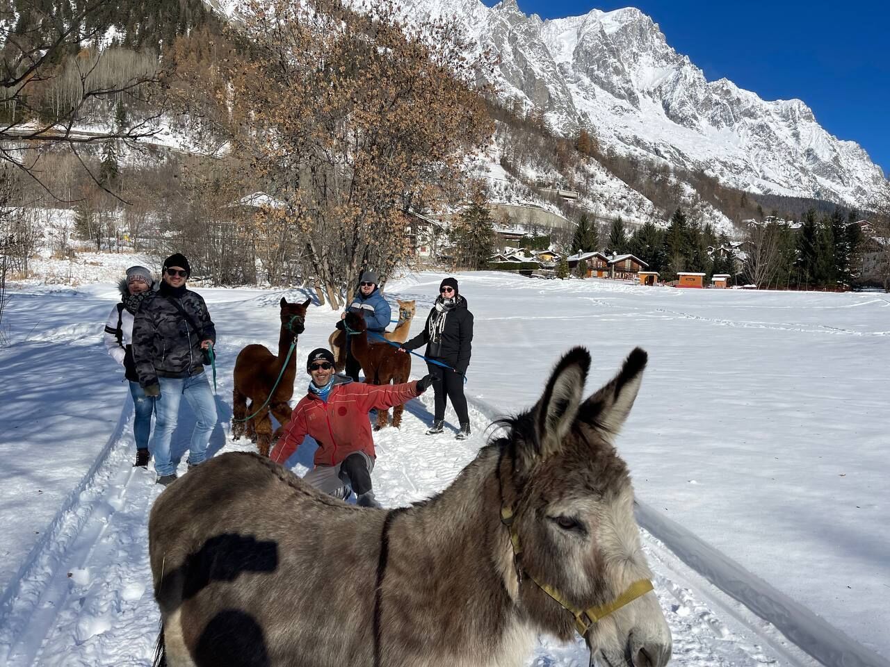 A group of people with horses in a snowy landscape with mountains in the background.