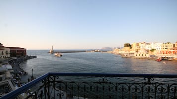 Vista desde la propiedad