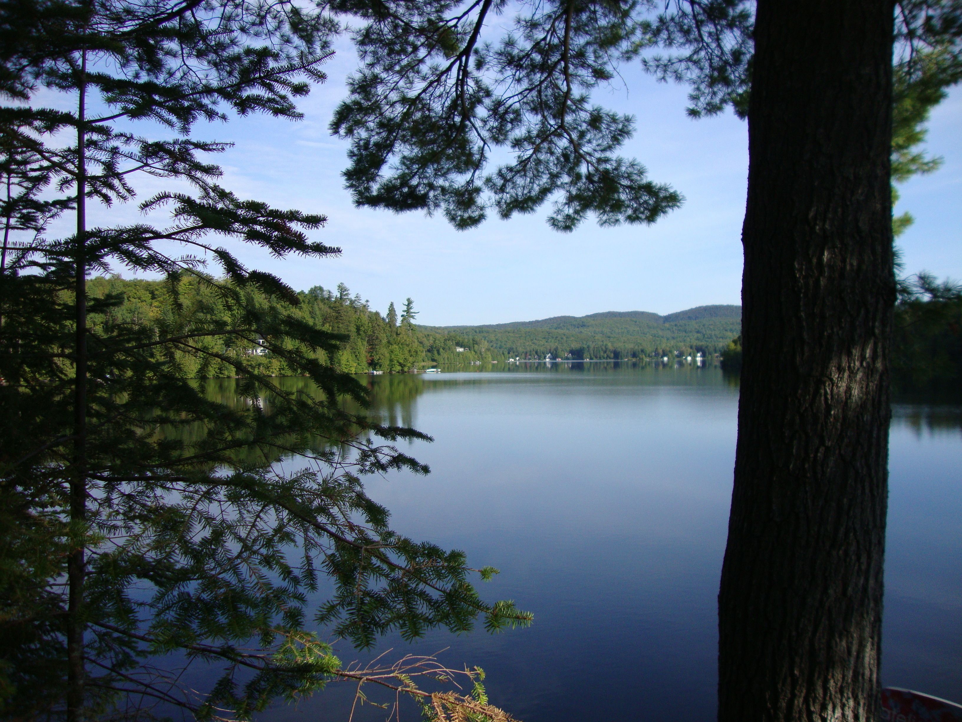 Tyyni järvi, jonka ympärillä on tiheää metsää ja kukkuloita.