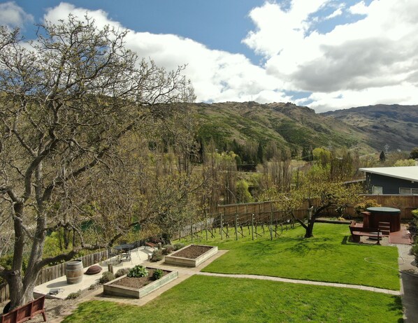 Comfort Studio Suite, 1 Bedroom, Kitchenette, Mountain View | Mountain view