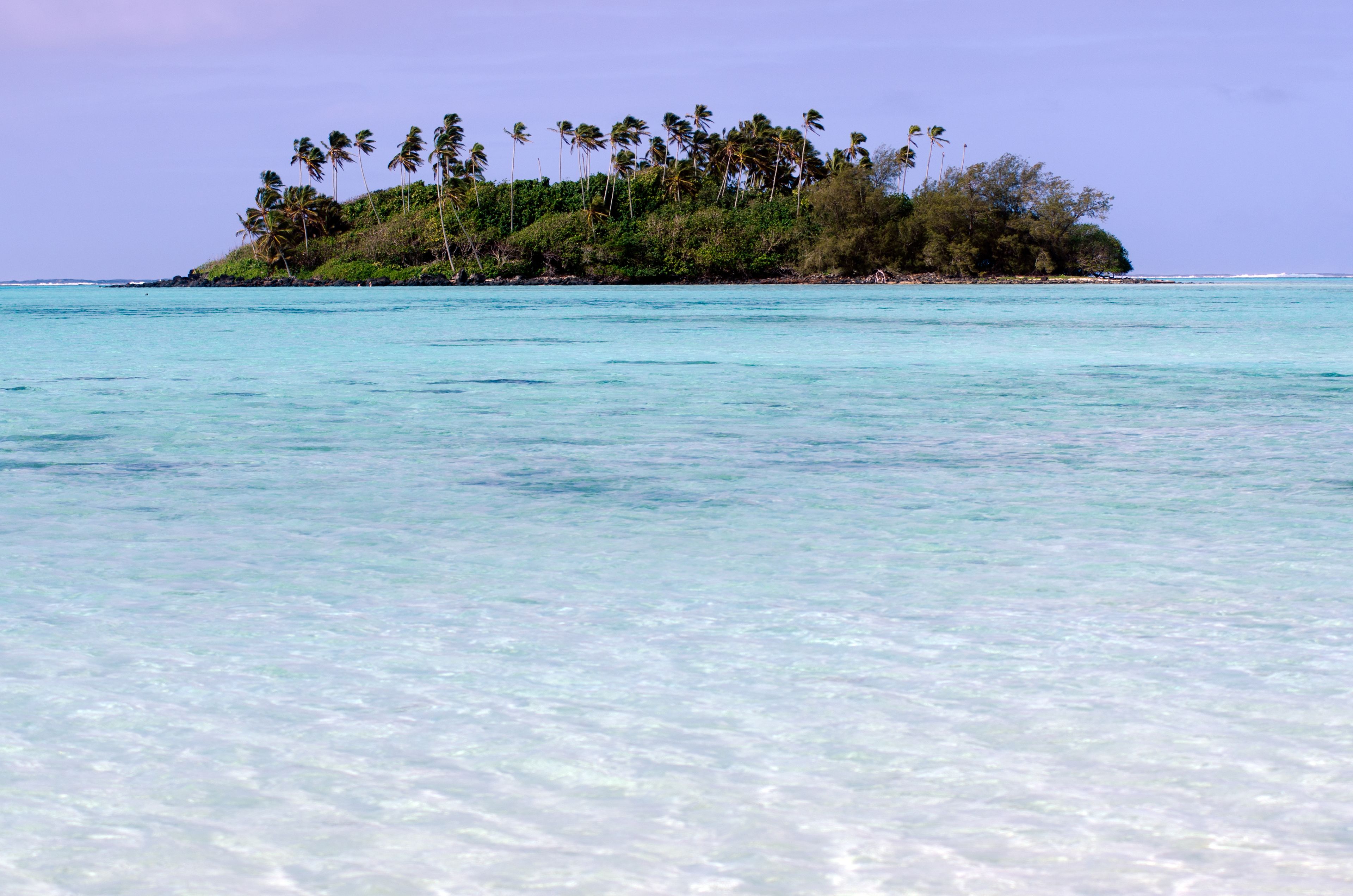 Una isla tropical con aguas turquesas cristalinas y densas palmeras.