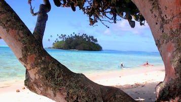 A beach with clear turquoise water, a sandy shore, and a small island with palm trees in the background.