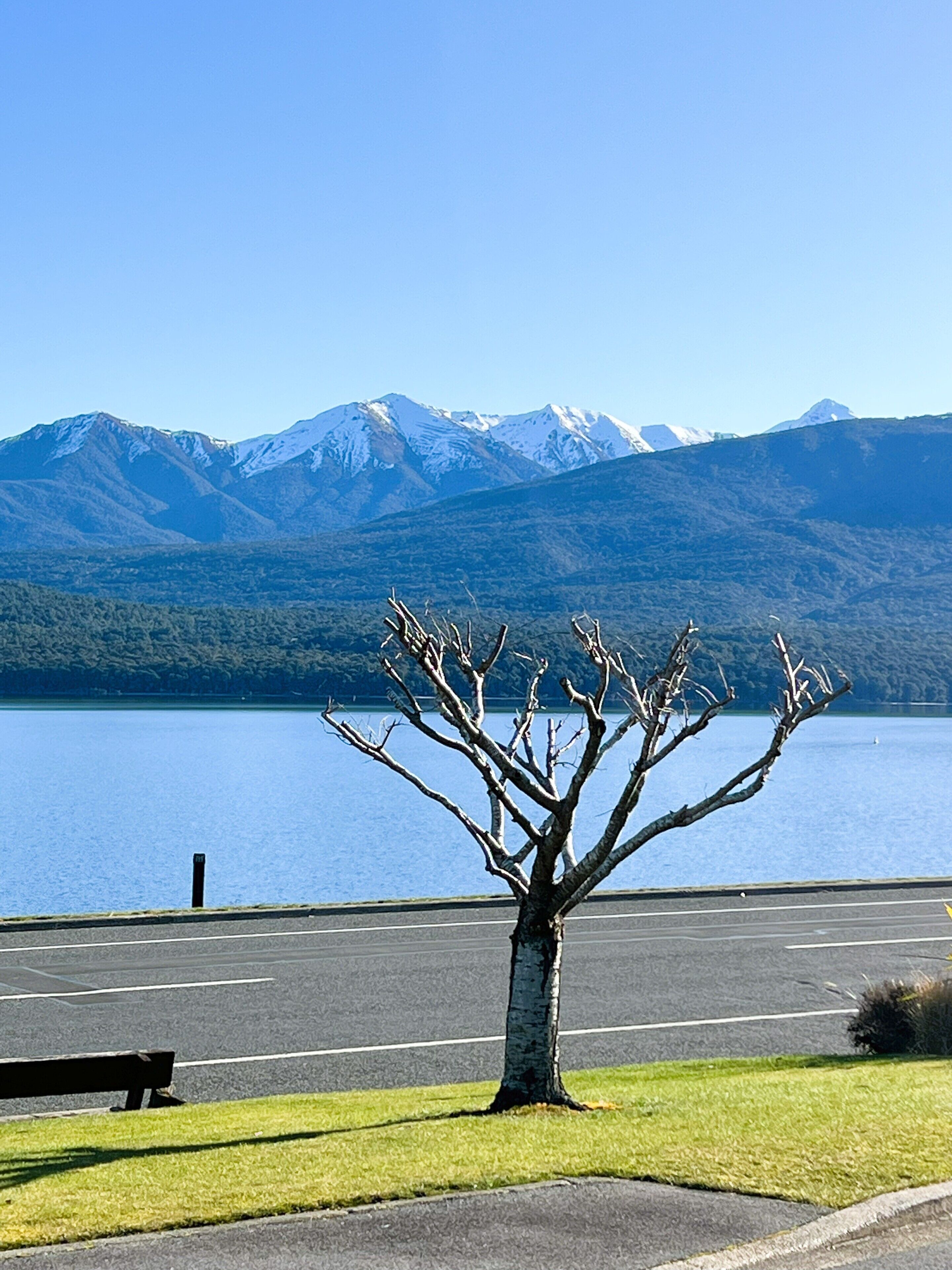 A parking area with a tree in the foreground, a bench, and a view of mountains and a body of water in the background.