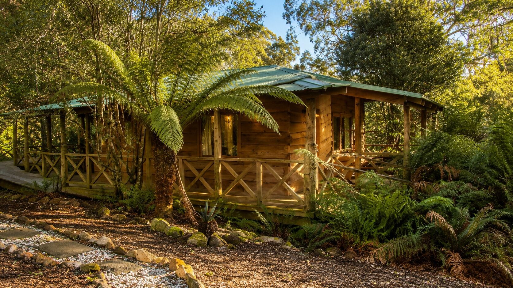 A wooden cabin with a thatched roof, surrounded by dense ferns and trees.