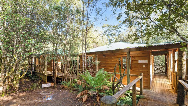 Una cabana de fusta amb un porxo, envoltada per un bosc dens.