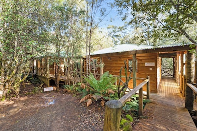 Cradle Forest Inn