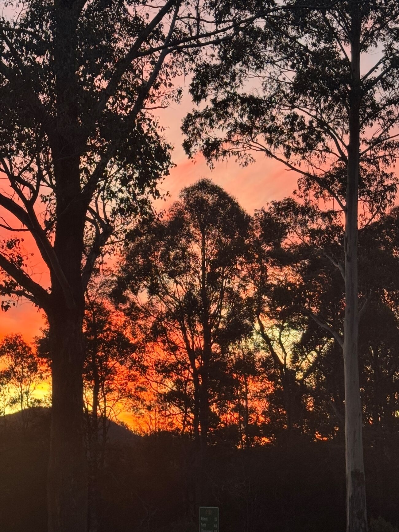A natural landscape with trees silhouetted against a sunset sky.