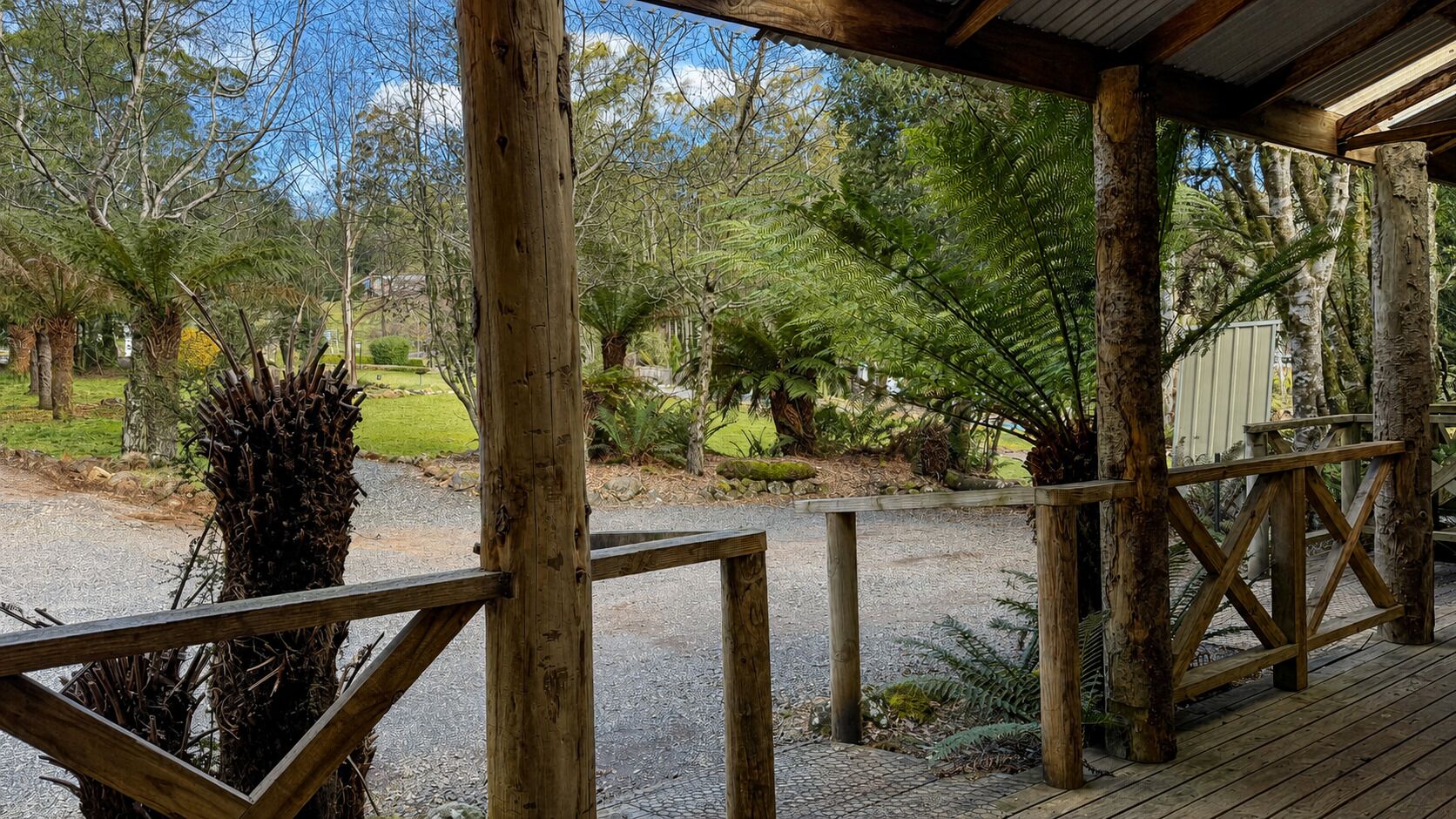 Una terraza de madera con un sendero de grava que lleva a una zona cubierta, rodeada de varios árboles y plantas.