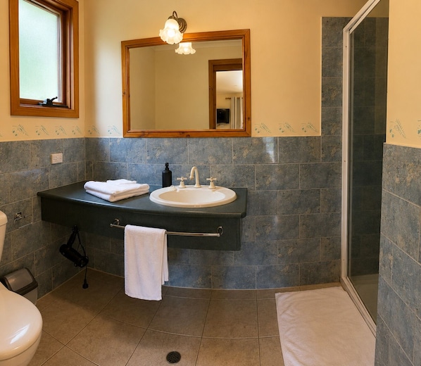 A bathroom with a sink, mirror, and shower.