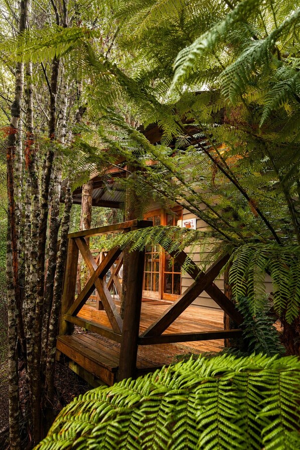 Une terrasse en bois entourée d’une végétation luxuriante composée de fougères et d’arbres, avec un bâtiment visible au loin.