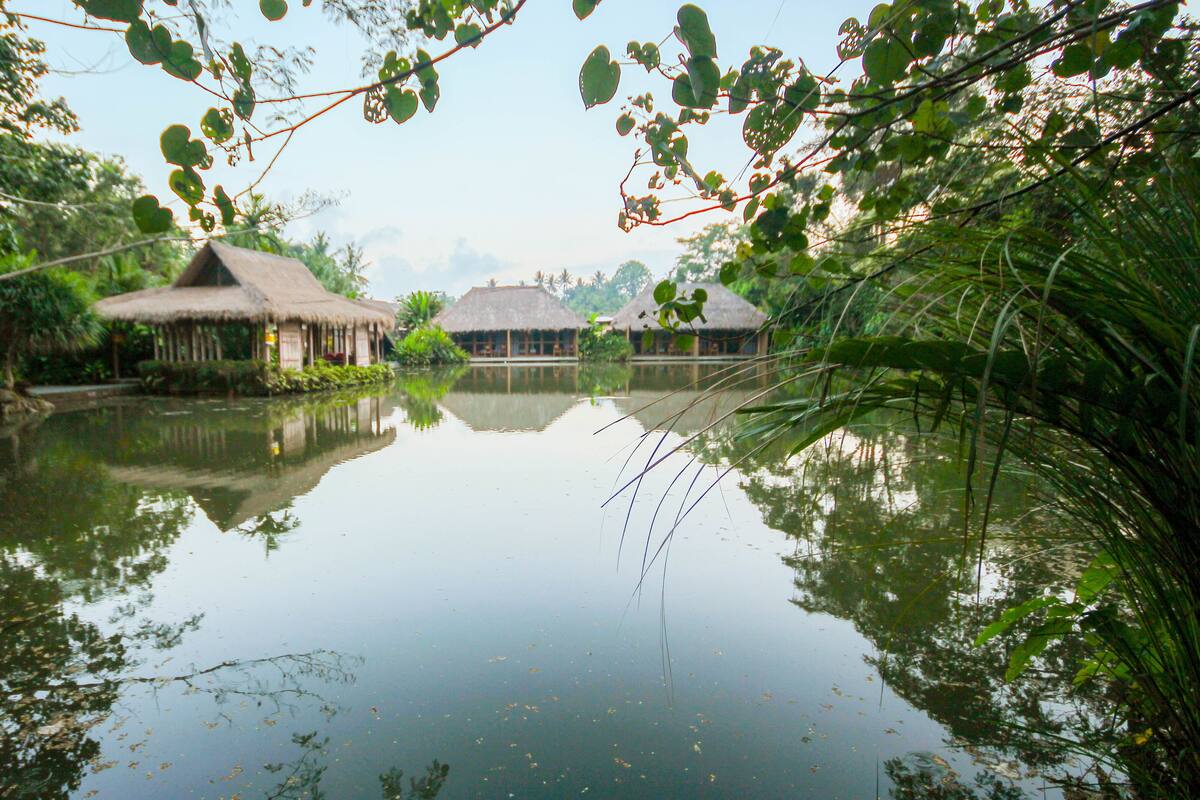 行政套房, 湖景 (Free Resort Activities) | 水景
