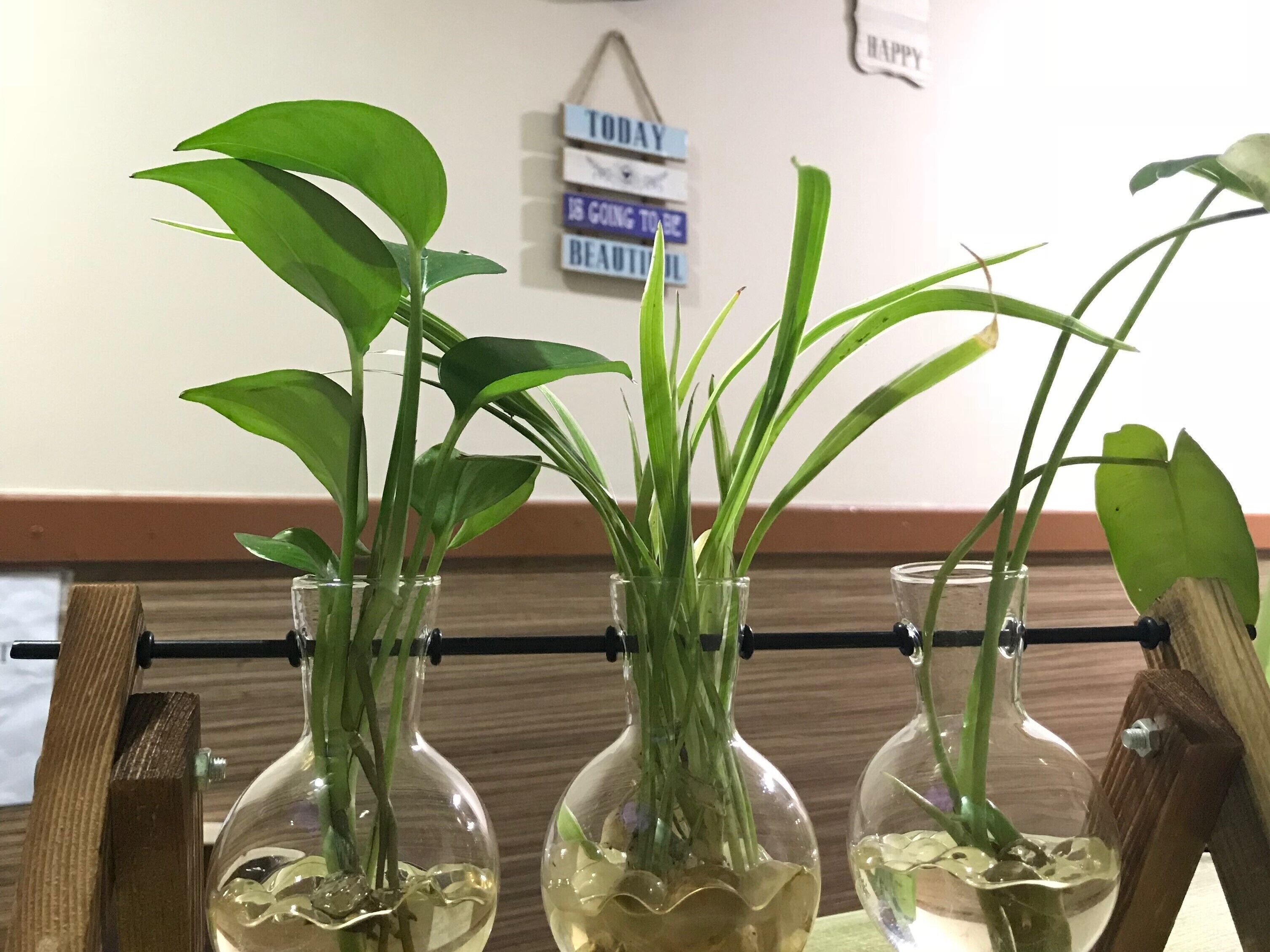 Foto - Iskandar Sinsuran Guesthouse