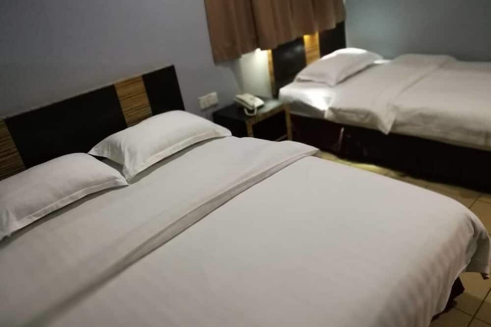 Hotel Traveller