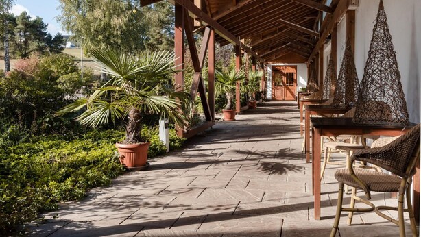 Un espacio al aire libre techado, con techo de madera, plantas en macetas y mobiliario de mimbre.