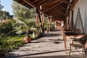 Un espacio al aire libre techado, con techo de madera, plantas en macetas y mobiliario de mimbre.