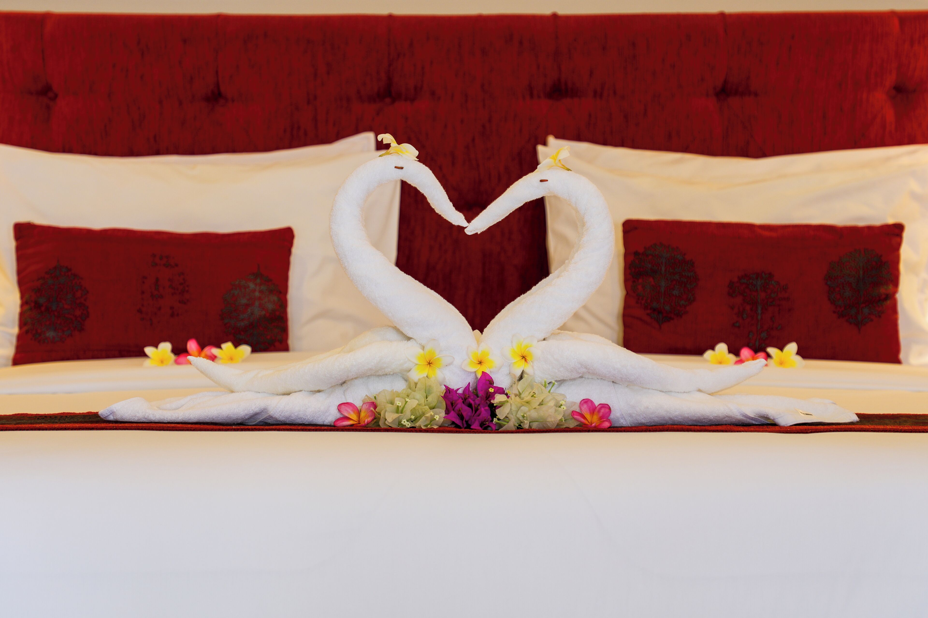 Photo - Vamana Resort