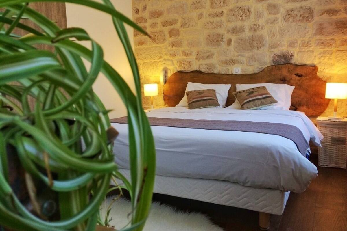 Une chambre avec un mur en pierre, une tête de lit en bois, un lit avec une literie blanche, deux lampes de chevet et une plante verte au premier plan.