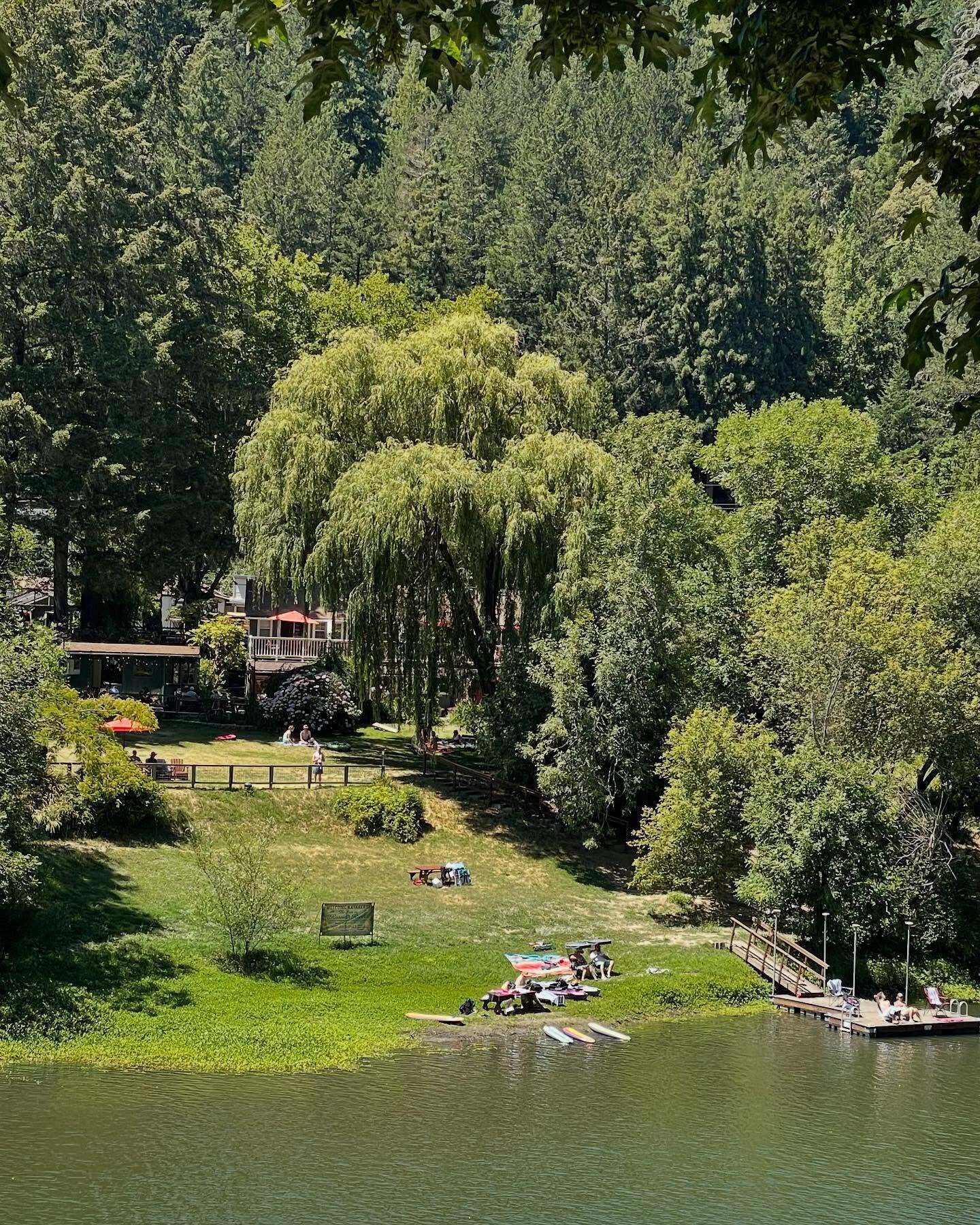 Un parc a la vora d'un llac amb zones de pícnic, una glorieta i un moll amb barques.