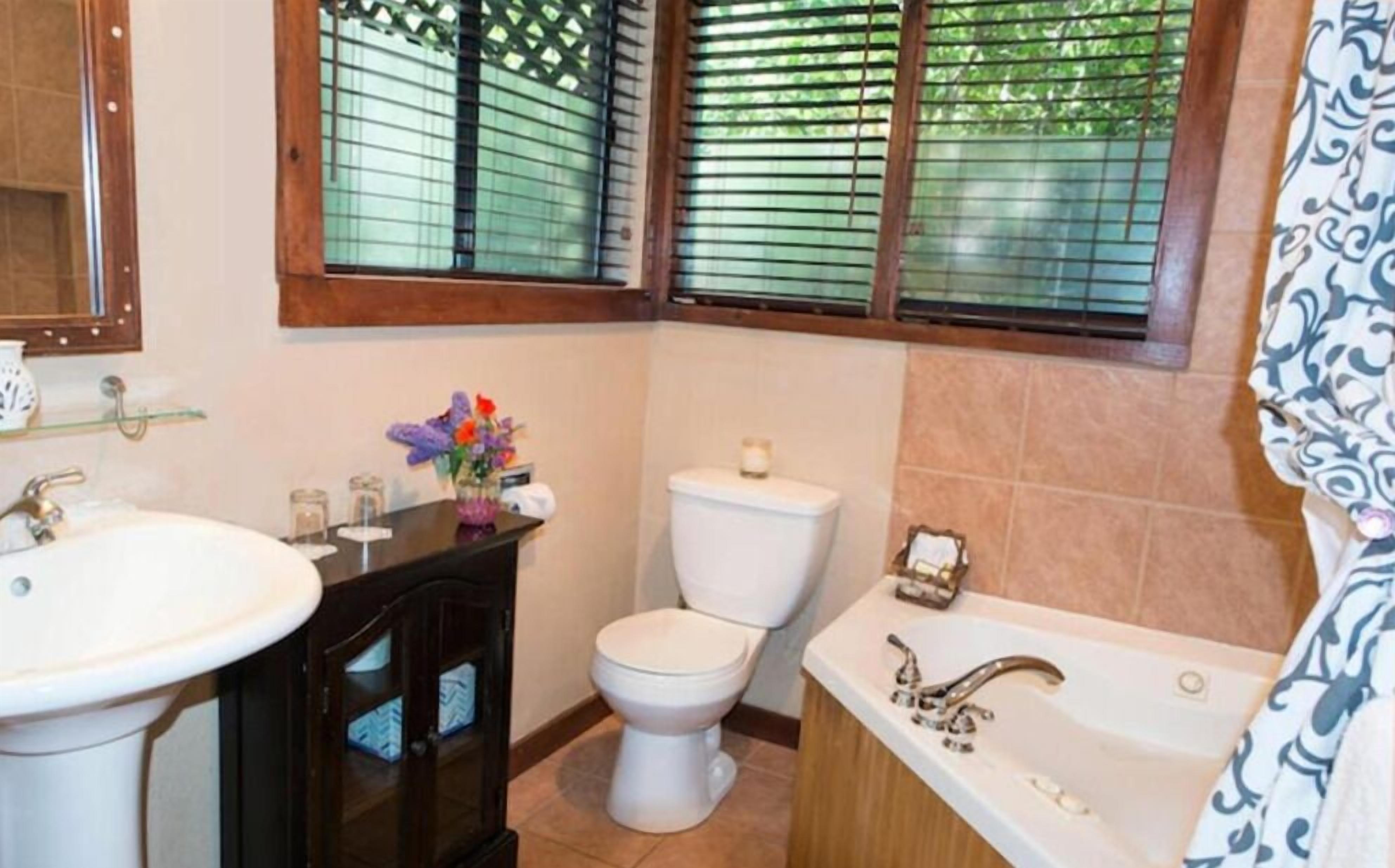 deluxe room, 1 king bed (room #7) | bathroom | shower, towels