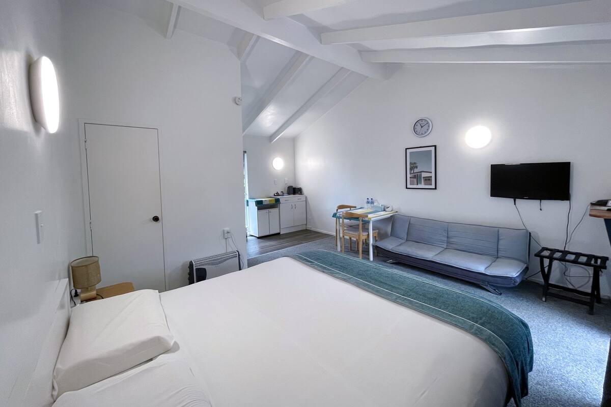 A room with a bed, a sofa, a small table, a TV, and a kitchenette.