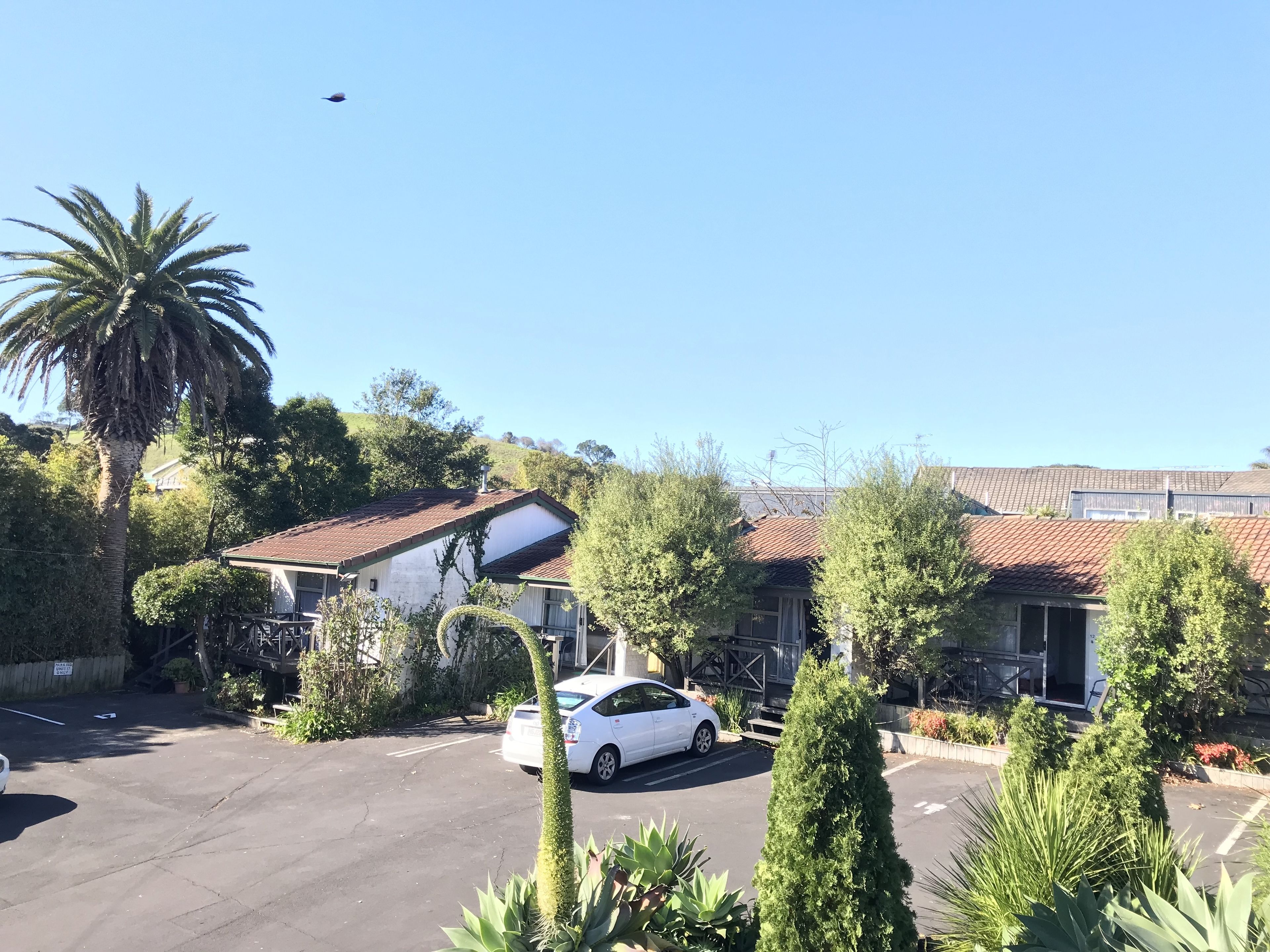Photo - Siesta Motel