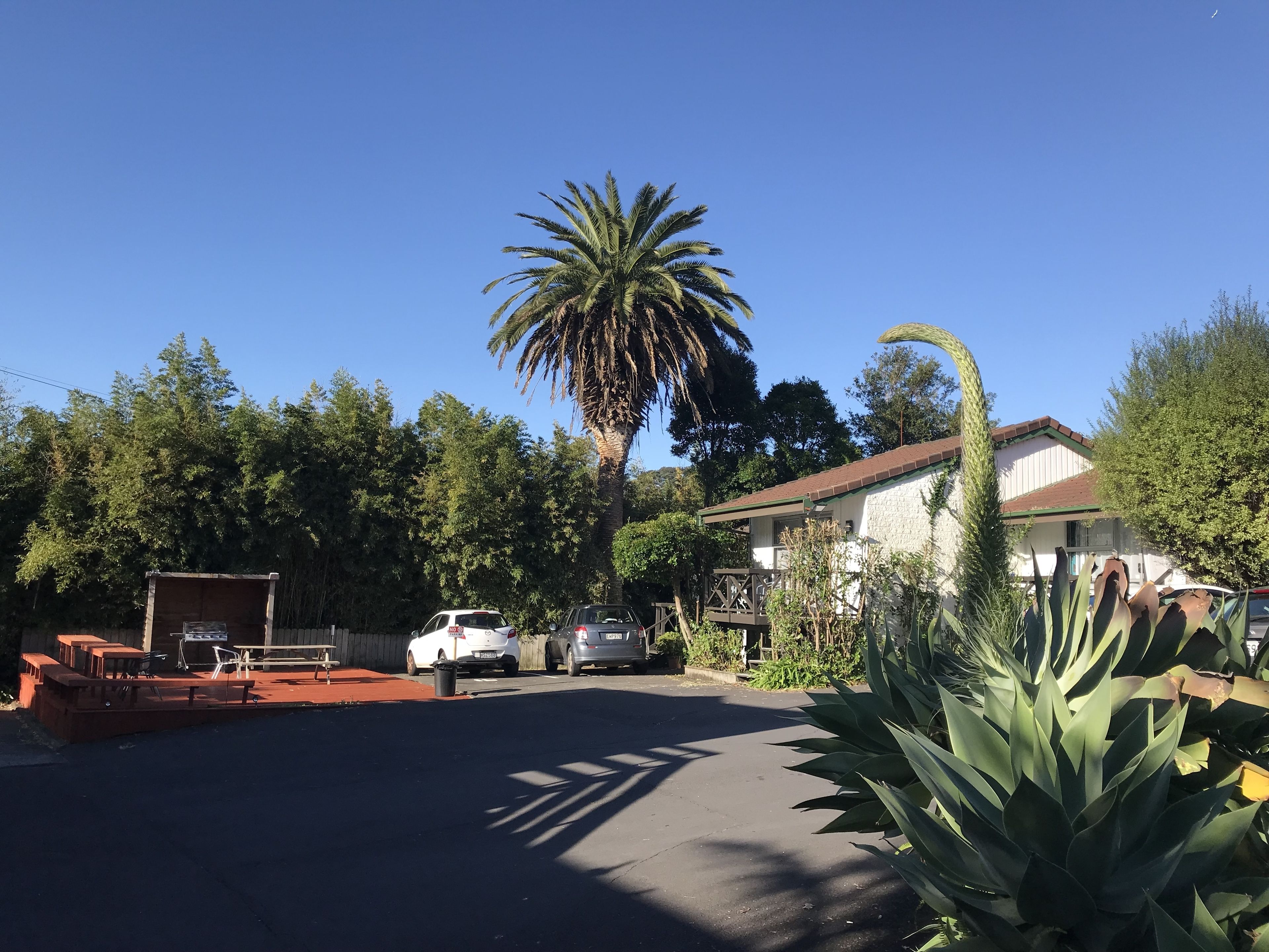 Photo - Siesta Motel