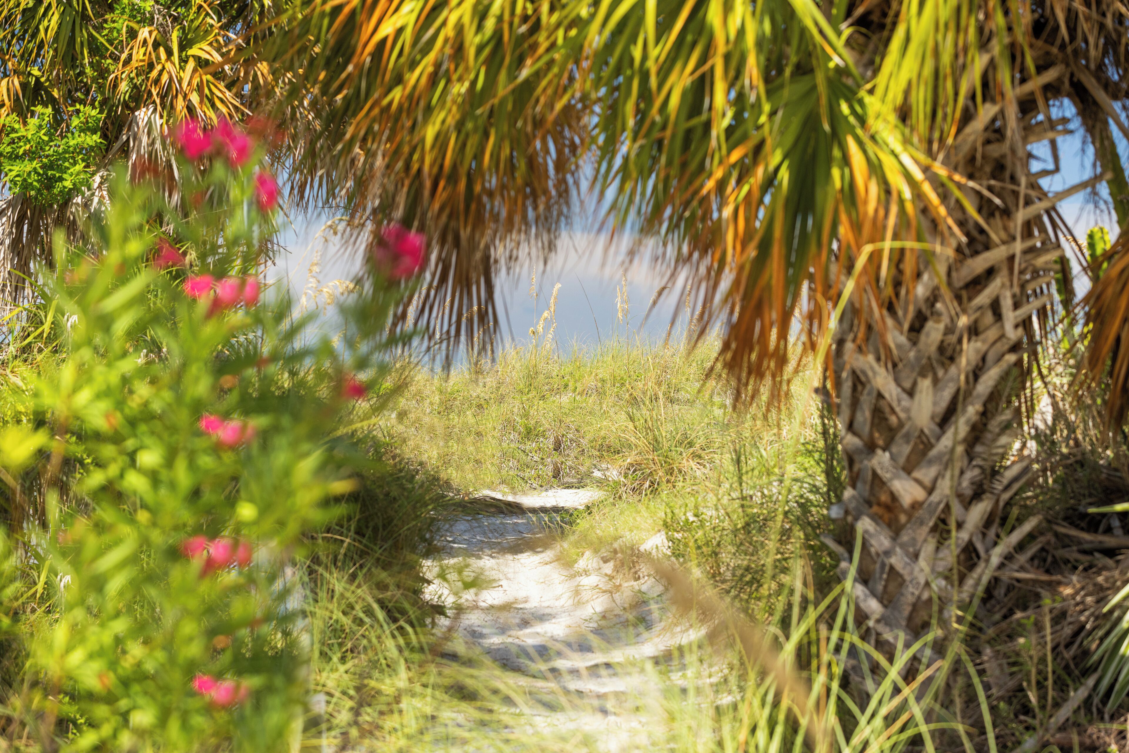 white sand, beach towels, kayaking, fishing