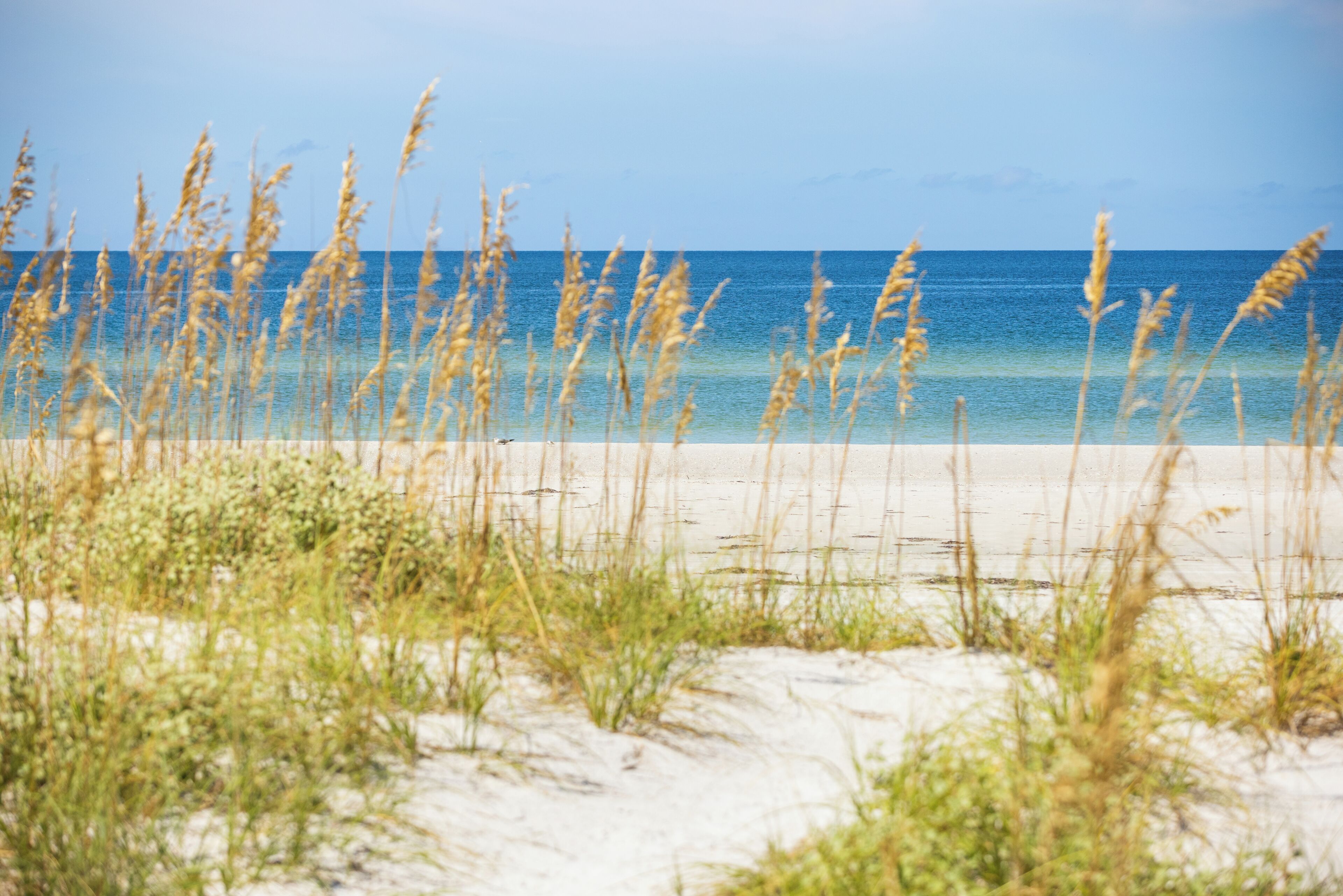 white sand, beach towels, kayaking, fishing