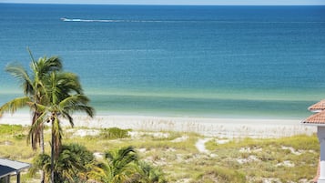 Vista desde la propiedad