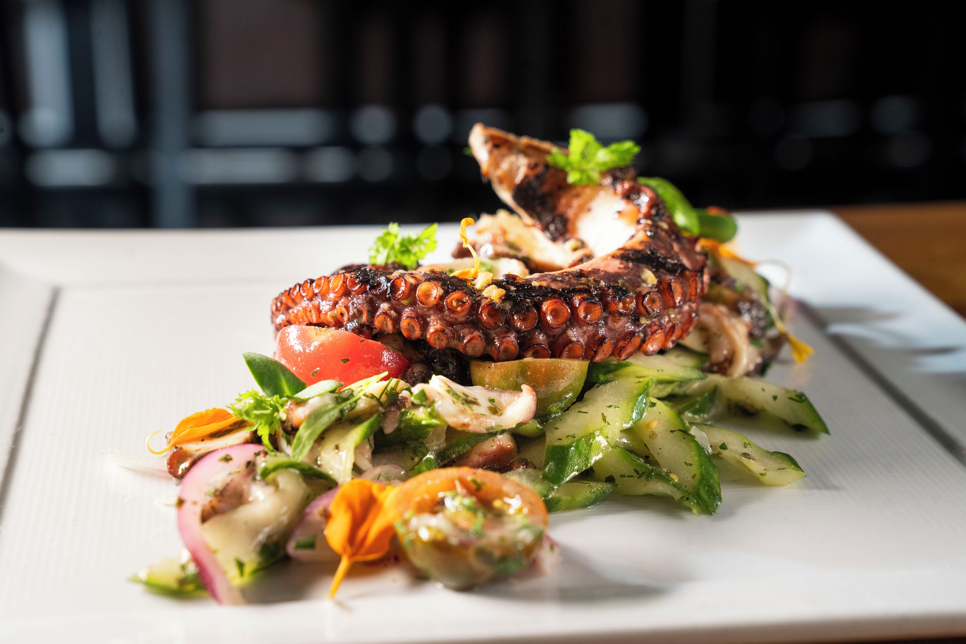 A plate of octopus with vegetables and herbs.