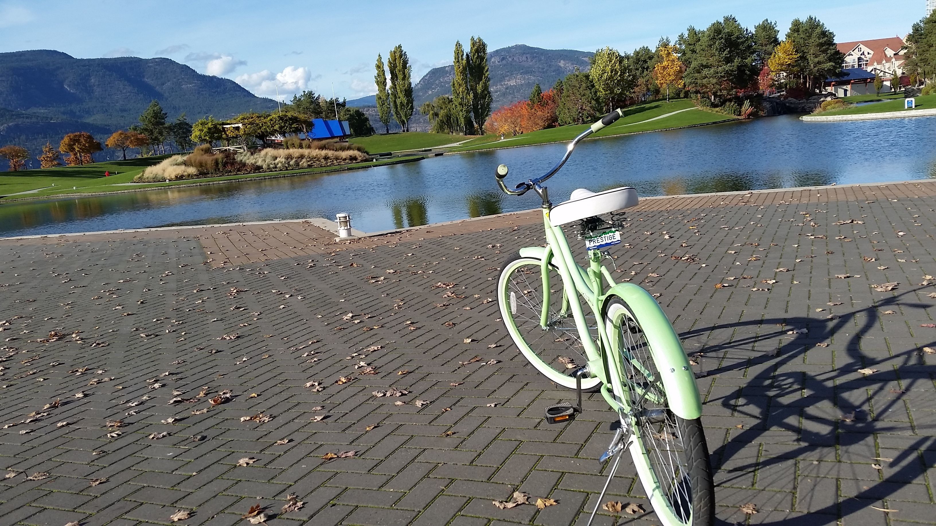 Una bicicleta verde estacionada en un área pavimentada, con un lago y montañas al fondo.