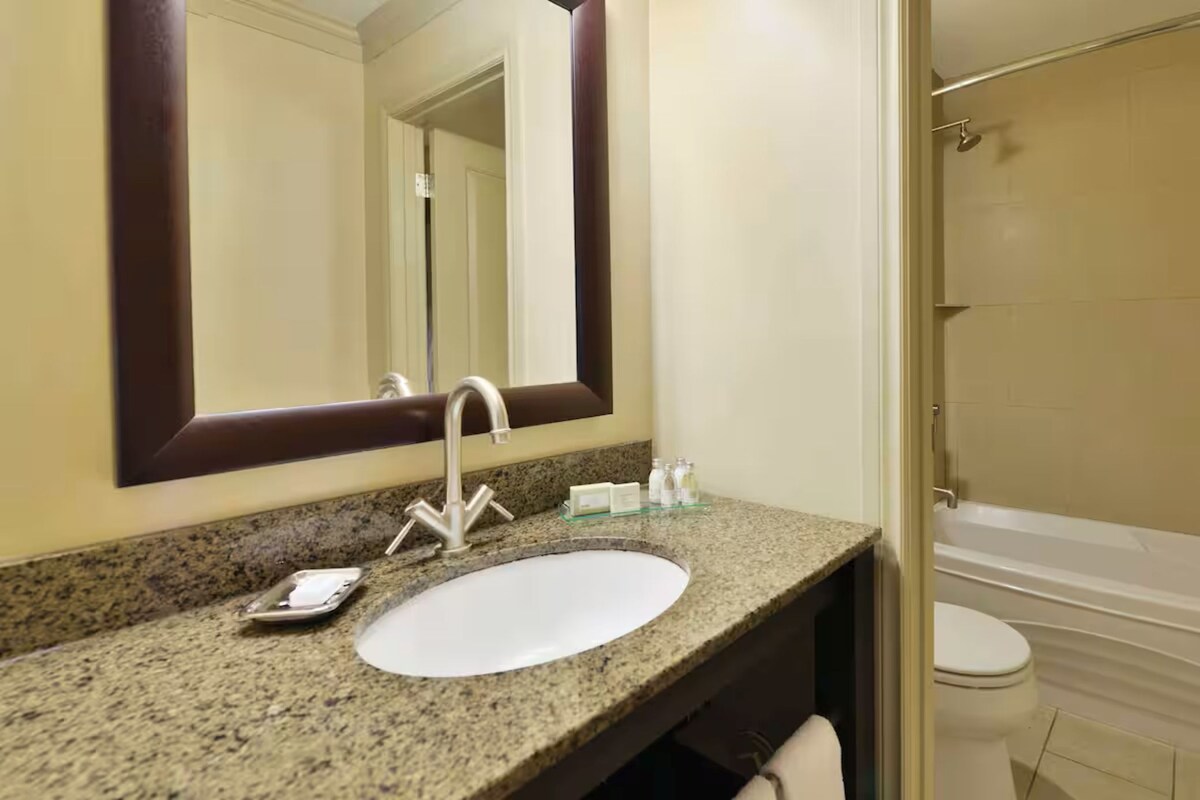 Un baño con encimera de granito, un lavabo blanco, un espejo grande y una bañera blanca.