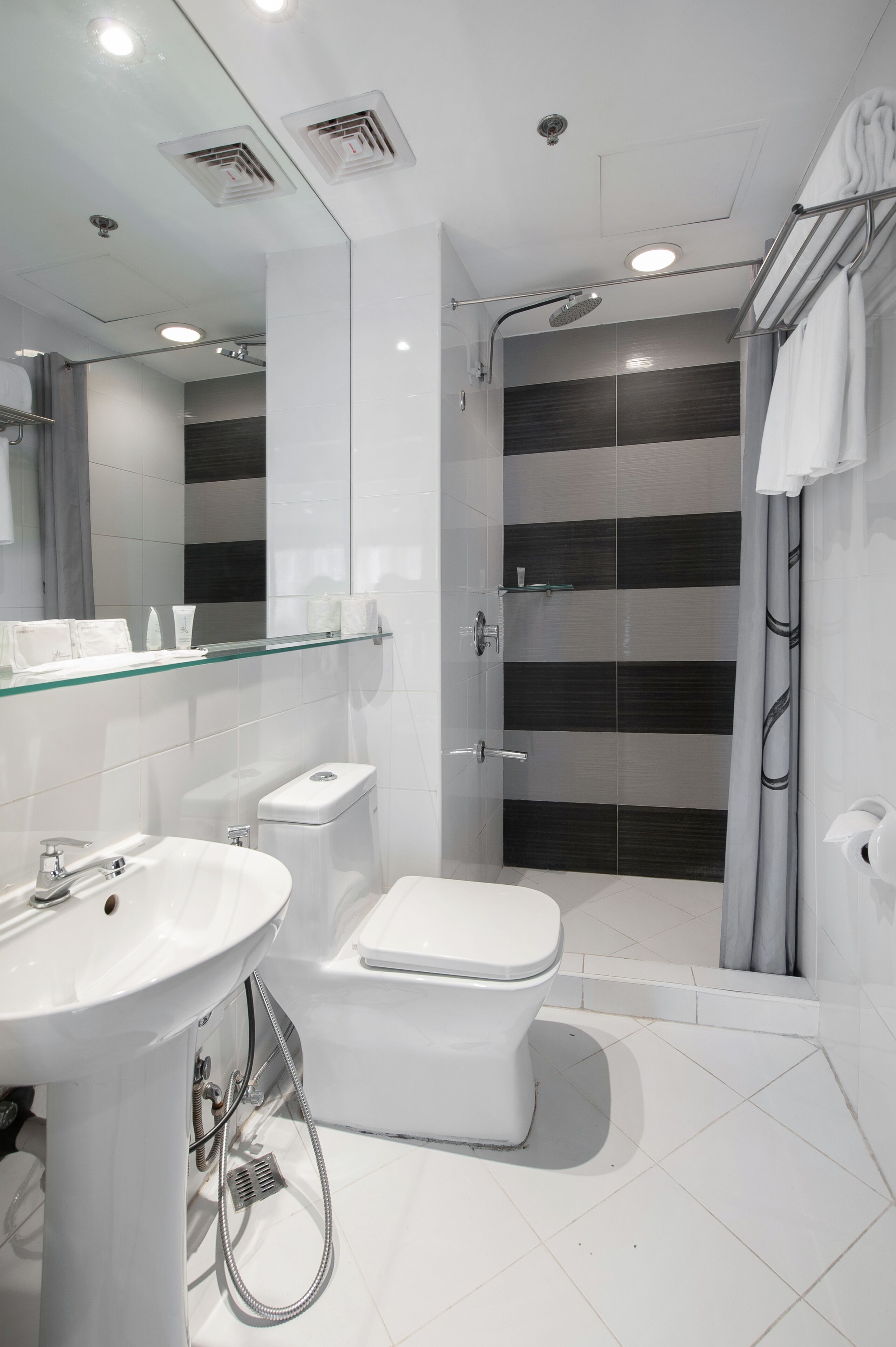 A modern bathroom with a glass shower enclosure, a pedestal sink, and a toilet.